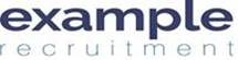 Domestic Electrician Logo