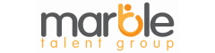 Intruder Alarm Security Engineer Logo