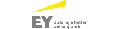 Manager - M&A Analytics - EY-Parthenon, Birmingham Logo