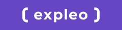 IT Business Systems Analyst Logo